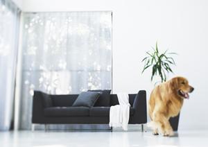 地域密着型で相談しやすい工務店