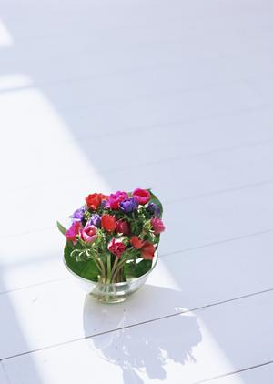 本場のペルシャ絨毯を最安値で入手